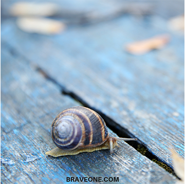 healing-at-snails-pace